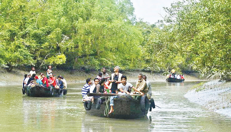 সুন্দরবন পর্যটকে মুখরিত