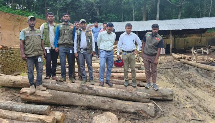 উখিয়ায় প্রশাসন-বনবিভাগের অভিযানে স'মিল উচ্ছেদ ও কাঠ জব্দ