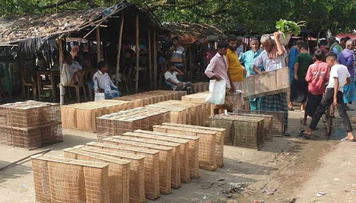 সিরাজগঞ্জে হাট বাজারে মাছ ধরার ধিয়াল কেনার হিড়িক