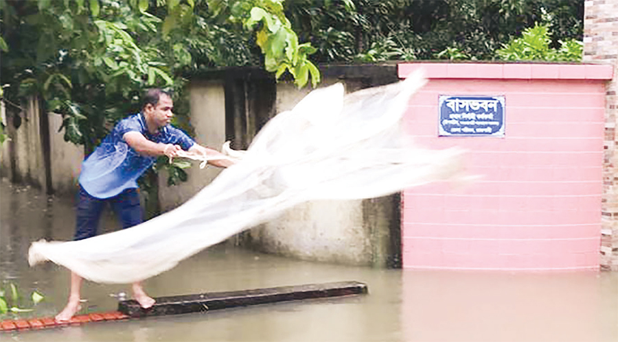 রাজশাহীতে বৃষ্টির পানিতে মিলছে রুই কাতলা তেলাপিয়া