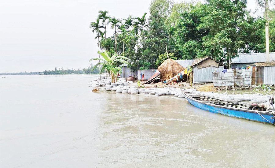 কুড়িগ্রামে তিস্তার পানি বিপৎসীমার উপর দিয়ে প্রবাহিত