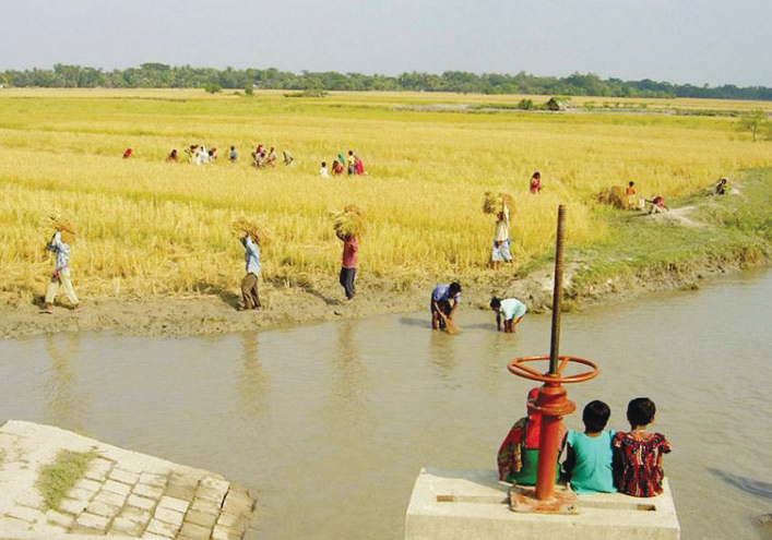 ব্লু গোল্ড : ১৪২ কোটি টাকার প্রকল্পে ৪১ কোটিই পরামর্শক ব্যয়