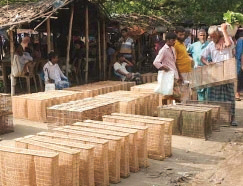 সিরাজগঞ্জে হাট-বাজারে মাছ ধরার ধিয়াল কেনার হিড়িক