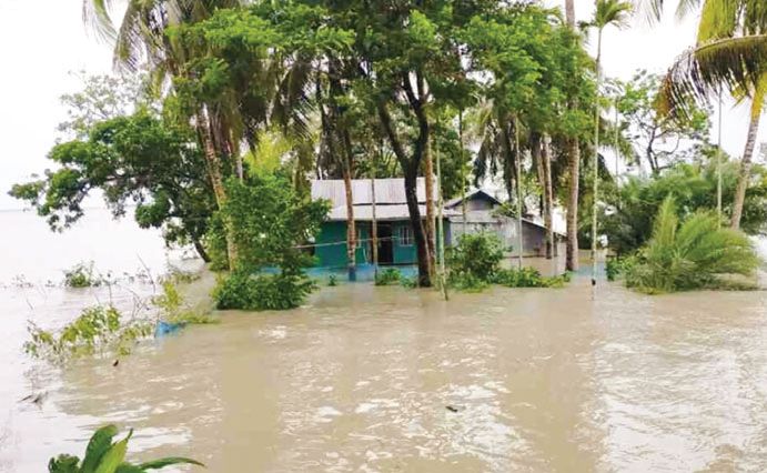 ফের বাড়ছে যমুনা নদীর পানি : বন্যার আশঙ্কা