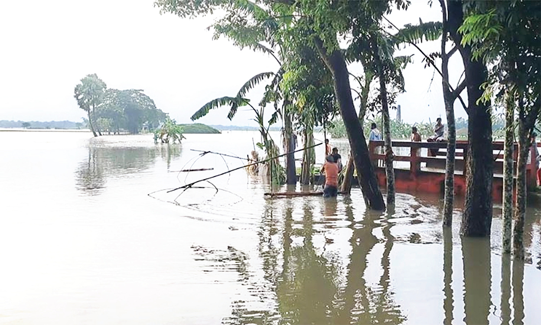 টানা বর্ষণে ভেসে গেছে সাড়ে ৬ হাজার পুকুরের মাছ