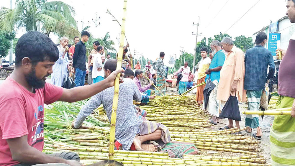 দাম না পাওয়ায় হাসি নেই কৃষকের