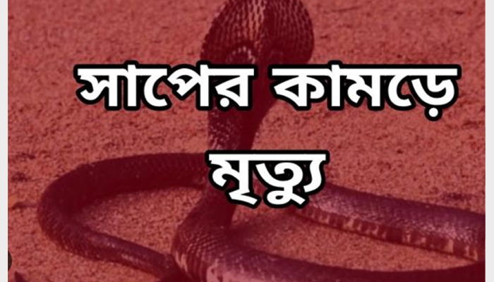 লালমনিরহাটে সাপের কামড়ে স্কুল ছাত্রীর মৃত্যু 