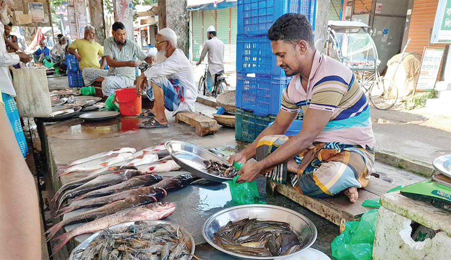 দাম বেড়েছে অন্যান্য মাছের