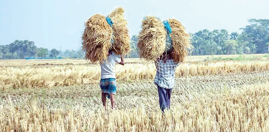 দুর্যোগে ফসল উৎপাদনে বছরে সোয়া ১২ হাজার কোটি ডলারের ক্ষতি