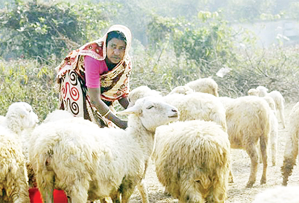 চরের নারীদের দিনবদলের স্বপ্ন