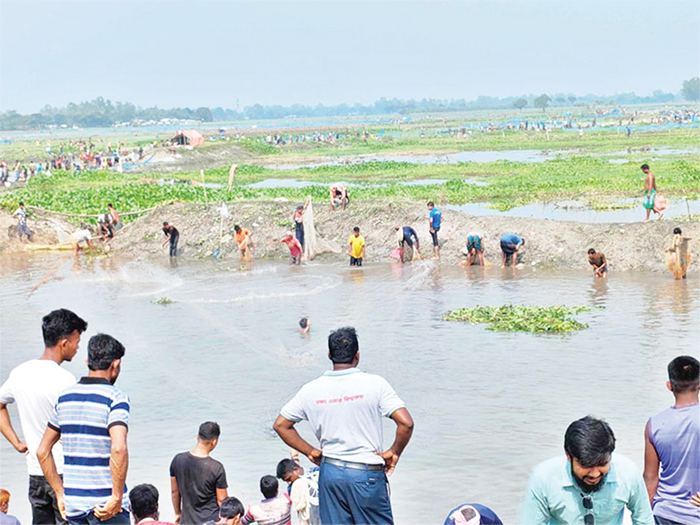 বুড়ির বাঁধে মাছ ধরা উৎসব