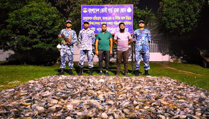 চাঁদপুরে সাড়ে ২৭ মণ জেলিযুক্ত চিংড়ি জব্দ