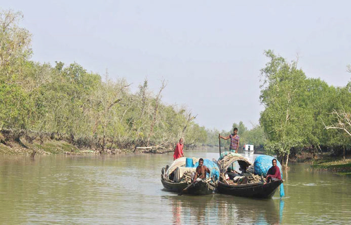 নোটাবেকী বন অফিসের সহযোগিতায় মৎস্য আহরণ