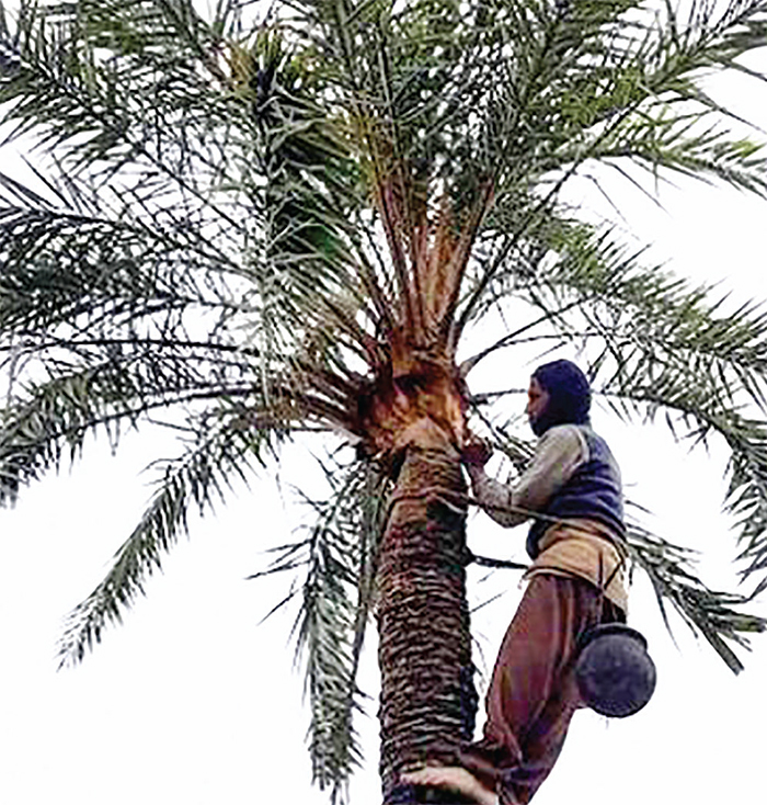 শীত কড়া নাড়ছে খুলনার দরজায়