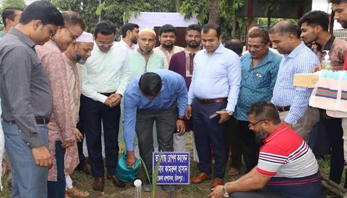 চাঁদপুরে ২৫ হাজার তালগাছ রোপন কর্মসূচি শুরু