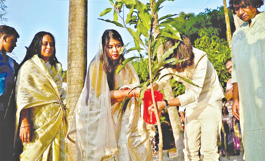 সুকৃতি-নাবিনের বিয়ের দেনমোহর ৫টি গাছ