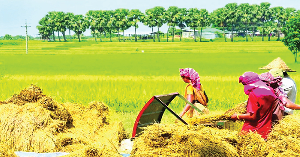 হেমন্তের অঘ্রাণ