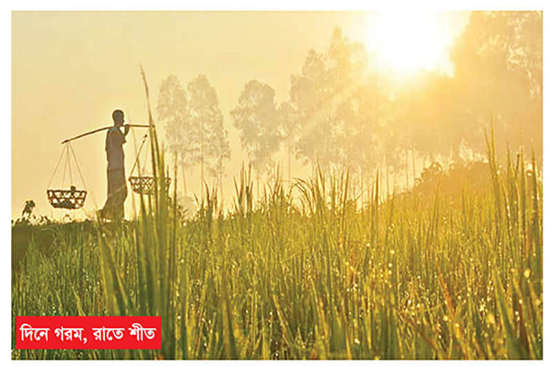 শিশুদের বাড়তি পরিচর্যার পরামর্শ