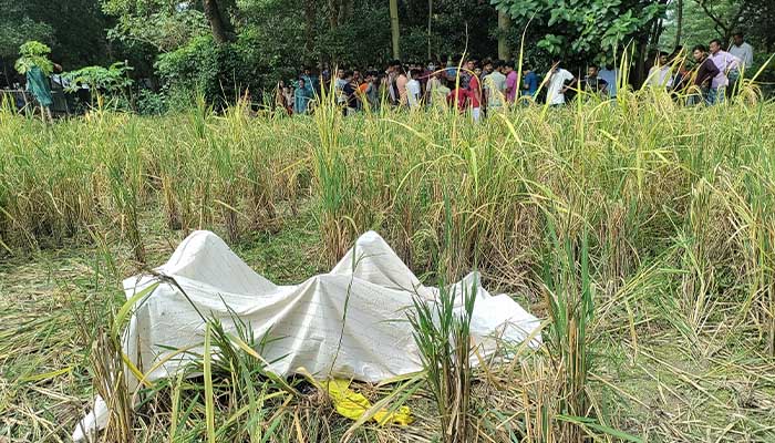 মিরসরাইয়ে ধান ক্ষেতে মিললো নিখোঁজ বৃদ্ধার মরদেহ