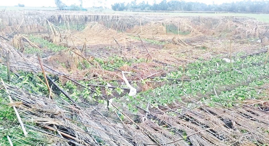 বিদ্যুৎ ও কৃষিতে ব্যাপক ক্ষতি পানির জন্য হাহাকার