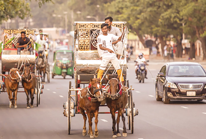 টমটমে ঘোরে জীবিকার চাকা