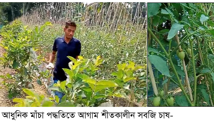 বরিশালে আগাম শীতকালীন সবজি চাষে সফলতা