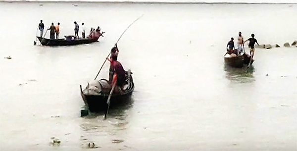 পদ্মা ও মেঘনায় কারেন্টজালে আটকা পড়ছে প্রচুর মা ইলিশ