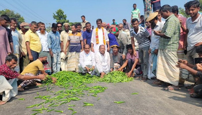 মহাসড়কে সবজি ঢেলে অবরোধের প্রতিবাদ কৃষকদের