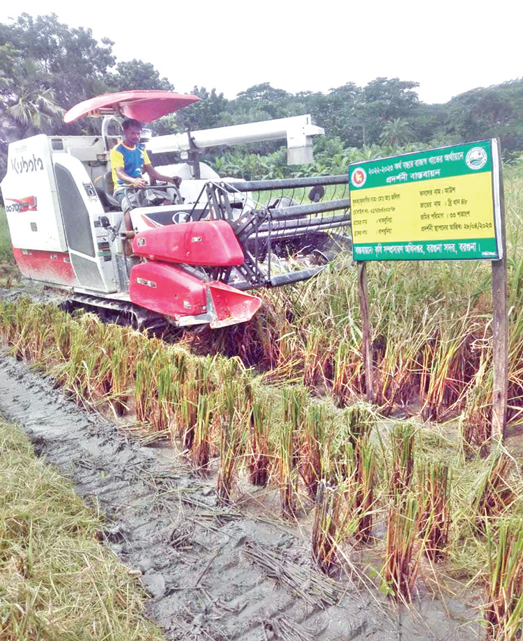 কম্বাইন হারভেস্টরের আওতায় ১৯ ভাগ