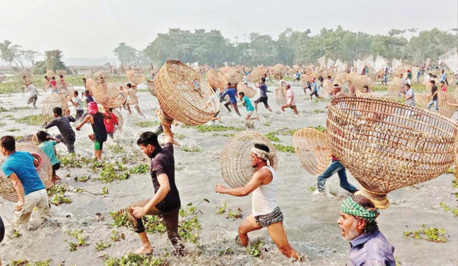 বোকা বিলে ঐতিহ্যবাহী পলো বাওয়া উৎসব