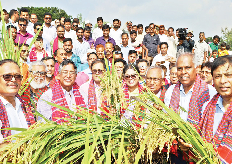 খামারি অ্যাপ ব্যবহারে সারের খরচ কমবে, ফলনও বাড়বে