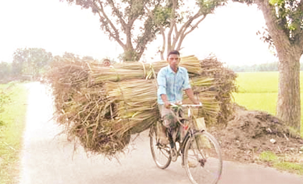 শতাধিক পরিবারের জীবন জীবিকার উৎস্য পানি মুথা