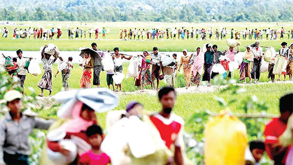 মিয়ানমারে গণহত্যা মামলায় ৭ দেশের আবেদন