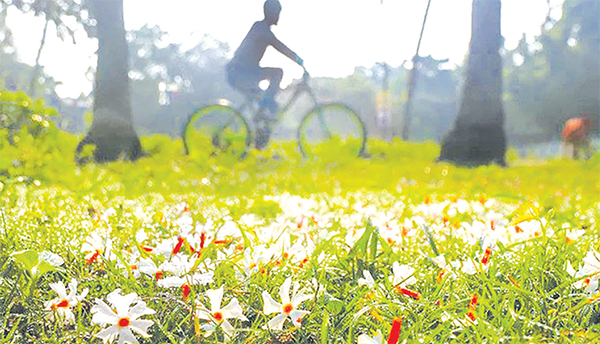 উৎসবমুখর হেমন্ত