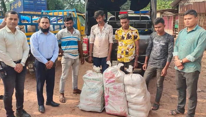 চাঁদপুর জেলা টাস্কফোর্স কর্তৃক ৫৪ কেজি গাঁজাসহ গ্রেপ্তার ৪