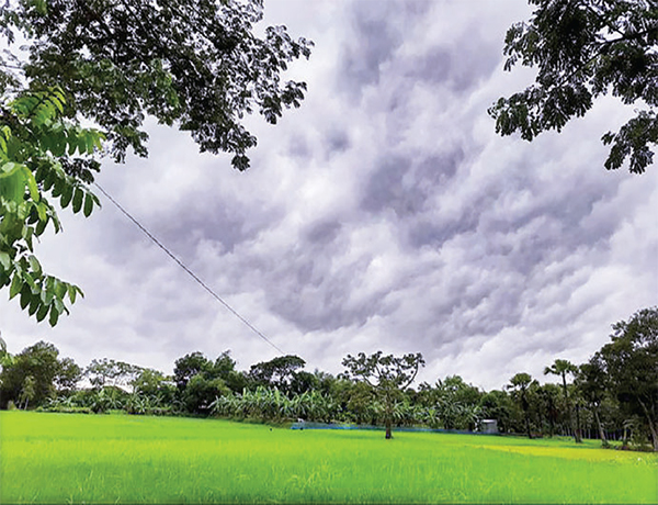 ছোটদের আকিদা আল্লাহর পরিচয়