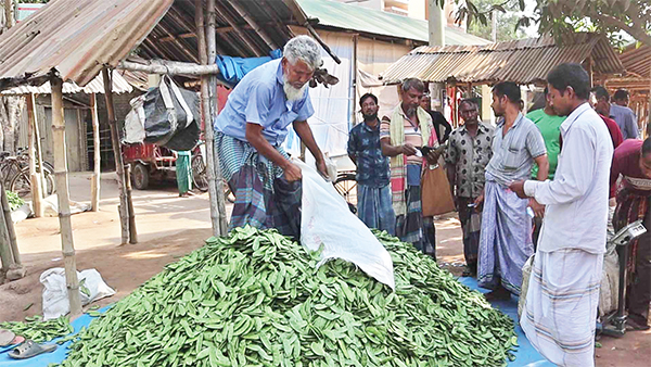 নওগাঁয় প্রতিদিন হাটে ২ লক্ষাধিক টাকার শিম বেচাকেনা