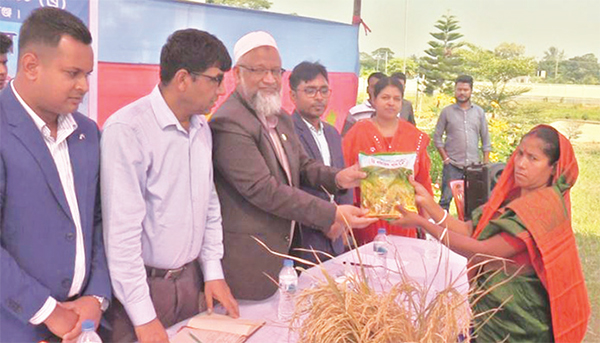 গোপালগঞ্জে বিনামূল্যে ধান বীজ বিতরণ