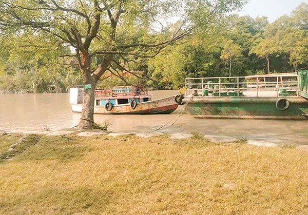 হরতাল-অবরোধে পর্যটকশূন্য সুন্দরবন