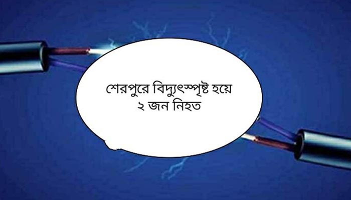 নকলায় বিদ্যুৎস্পৃষ্ট হয়ে শালা-দুলাভাই নিহত