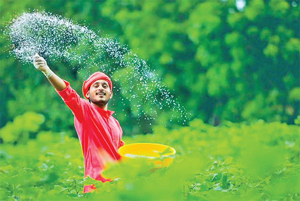 কৃষিঋণ বিতরণ বেড়েছে তিনগুণ