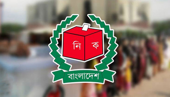 স্বতন্ত্র প্রার্থী হতে এমপিদের পদত্যাগ করতে হবে না : ইসি