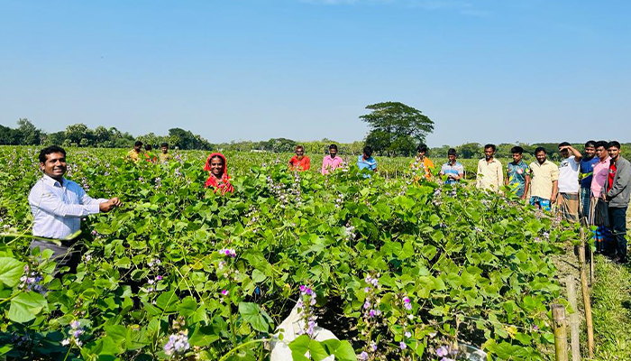 ঈশ্বরগঞ্জে সরকারি প্রণোদনার আওতায় ১০ হাজার ৭৫৫ জন কৃষক 