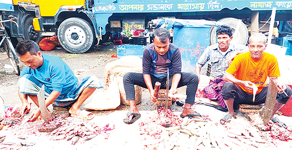 মাছ কেটে সংসার চলে তাদের