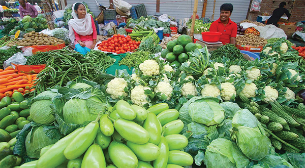 ঝিনাইদহে সবজির উৎপাদন বেড়েছে