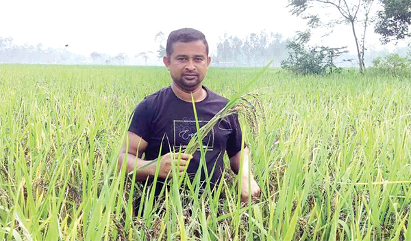 কালো ধান চাষে মিলনের চমক