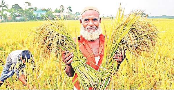 সবুজ ব্যাংকিংয়ে ১৮ শতাংশ প্রবৃদ্ধি