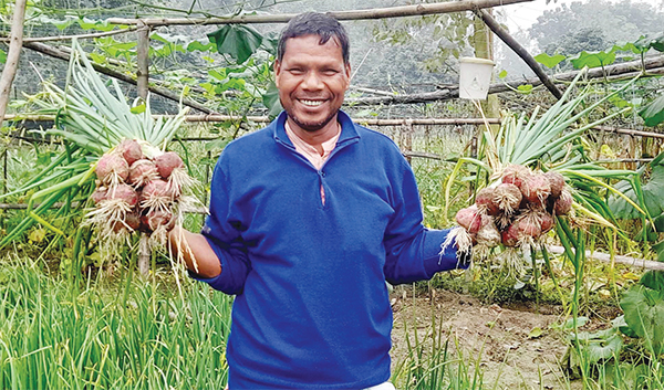 গ্রীষ্মকালীন পেঁয়াজ চাষে কৃষকের সাফল্য