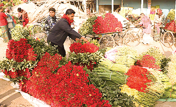 জমজমাট গদখালীর ফুলের বাজার