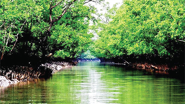 যমুনার বুকে এক টুকরো সুন্দরবন